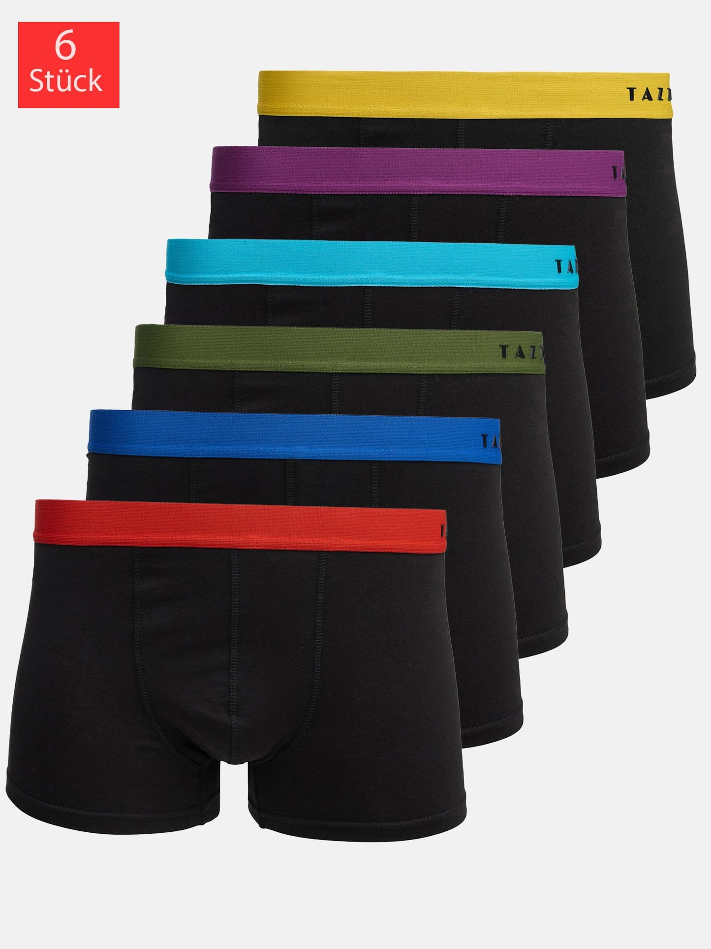 Tazzio Herren Boxershorts 6er Pack BS1001